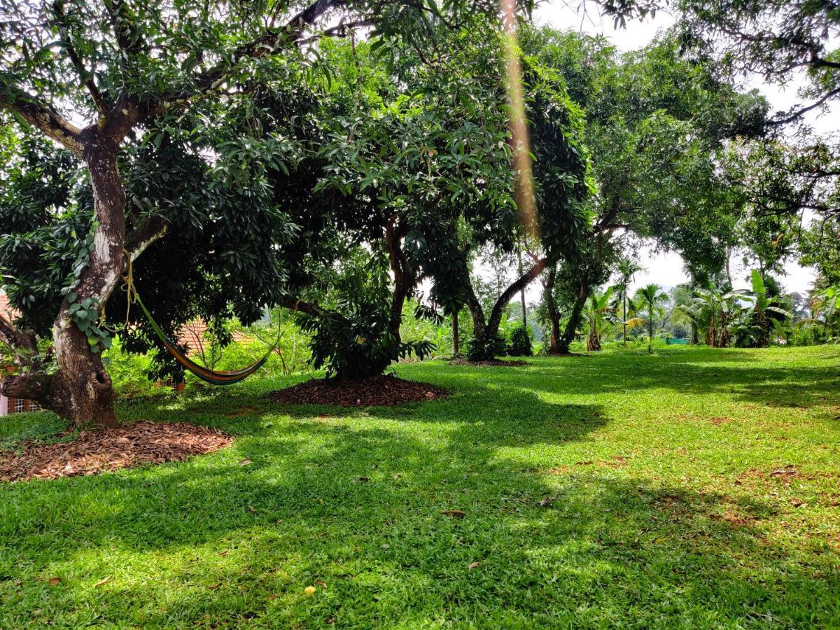 Carmel Tourism Village Kotamangalam Εξωτερικό φωτογραφία