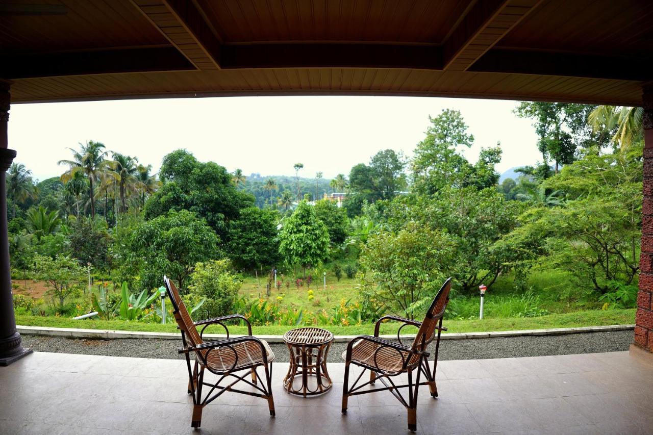 Carmel Tourism Village Kotamangalam Εξωτερικό φωτογραφία